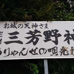 投稿日:2022年7月2日 写真