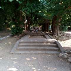 投稿日:2022年7月2日 写真