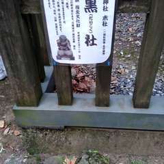 投稿日:2022年7月2日 写真