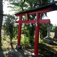 投稿日:2024年5月29日 写真