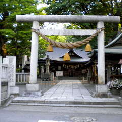 投稿日:2025年7月12日 写真