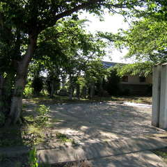 投稿日:2024年5月29日 写真