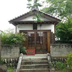 投稿日:2024年6月9日 写真