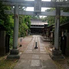 写真