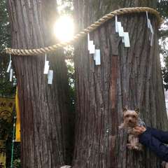 投稿日:2019年1月27日 写真