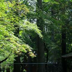 投稿日:2015年9月27日 写真