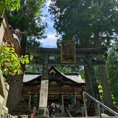 投稿日:2024年7月4日 写真