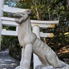 投稿日:2024年9月7日 写真