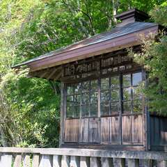 投稿日:2015年9月27日 写真