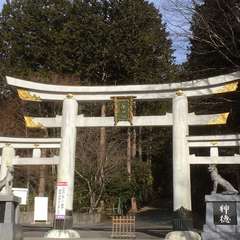 投稿日:2019年1月27日 写真