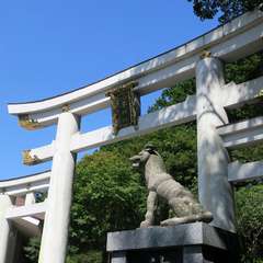 投稿日:2015年9月27日 写真