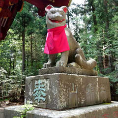 投稿日:2018年5月27日 写真