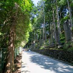 投稿日:2015年9月27日 写真