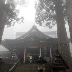 投稿日:2024年4月23日 写真