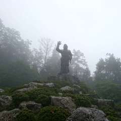 投稿日:2019年7月14日 写真