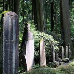 投稿日:2015年9月27日 写真