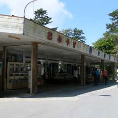 投稿日:2015年9月27日 写真