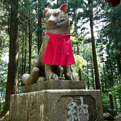 投稿日:2018年5月27日 写真