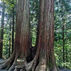 投稿日:2024年9月7日 写真