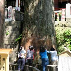 投稿日:2015年9月27日 写真