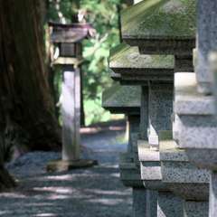 投稿日:2015年9月27日 写真