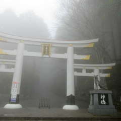 投稿日:2024年4月23日 写真