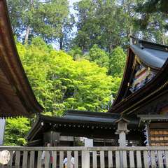 投稿日:2015年9月27日 写真