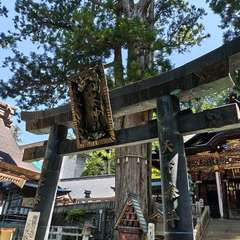 投稿日:2024年9月7日 写真