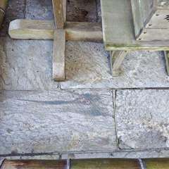 投稿日:2024年9月7日 写真