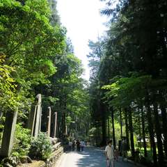 投稿日:2015年9月27日 写真