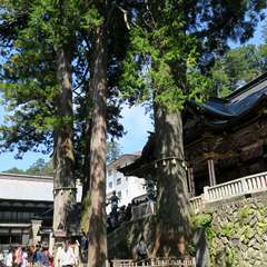投稿日:2015年9月27日 写真