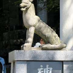 投稿日:2015年9月27日 写真