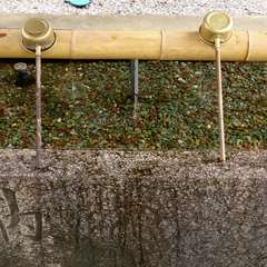 投稿日:2016年6月30日 写真