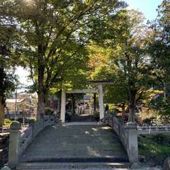 瀧宮神社(投稿日:2024年11月21日) 写真