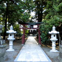 八幡神社(投稿日:2025年7月12日) 写真
