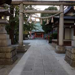 投稿日:2024年11月18日 写真