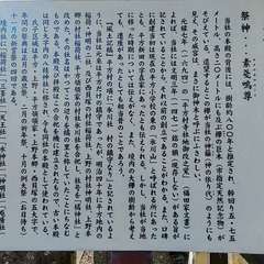 創建は不明とされるので御神木の樹齢からして相当昔から鎮座しているようだ(投稿日:2024年11月18日) 写真