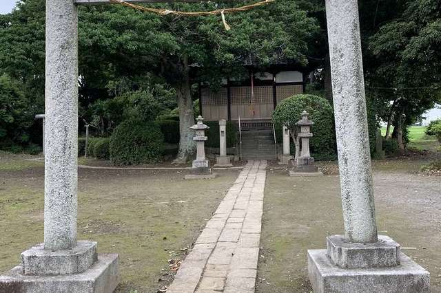 写真