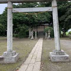 写真