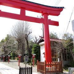 投稿日:2024年3月30日 写真