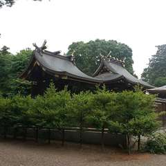 投稿日:2024年6月9日 写真