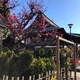 香取神社