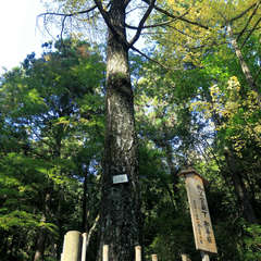 投稿日:2023年3月7日 写真