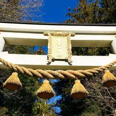 投稿日:2019年12月31日 写真