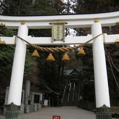 投稿日:2024年2月19日 写真