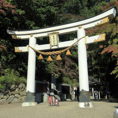 投稿日:2023年3月7日 写真