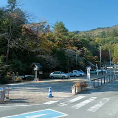 投稿日:2023年3月7日 写真