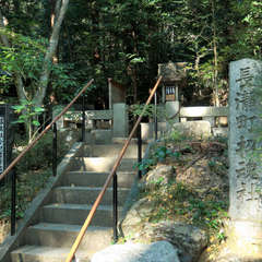 投稿日:2023年3月7日 写真