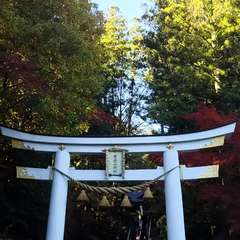 投稿日:2017年11月11日 写真