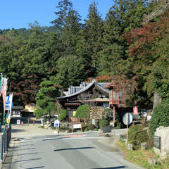 投稿日:2023年3月7日 写真